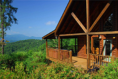 timber tops
